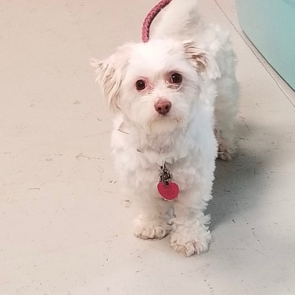 Meet your Posher, Katelynn - Picture 7 of 9